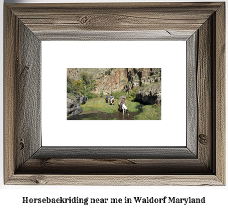 horseback riding near me in Waldorf, Maryland